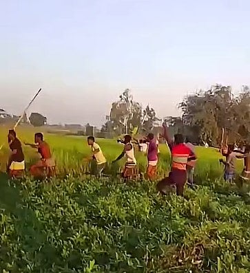 হাতীবান্ধা সীমান্তে বন্য প্রাণীর আক্রমণে তিনজন আহত, ভুক্তভোগীরা বলছেন, ‘বাঘ’ এসেছে