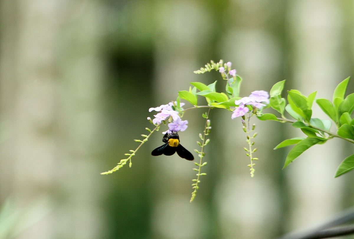একঝলক (২৬ অক্টোবর ২০২৬)