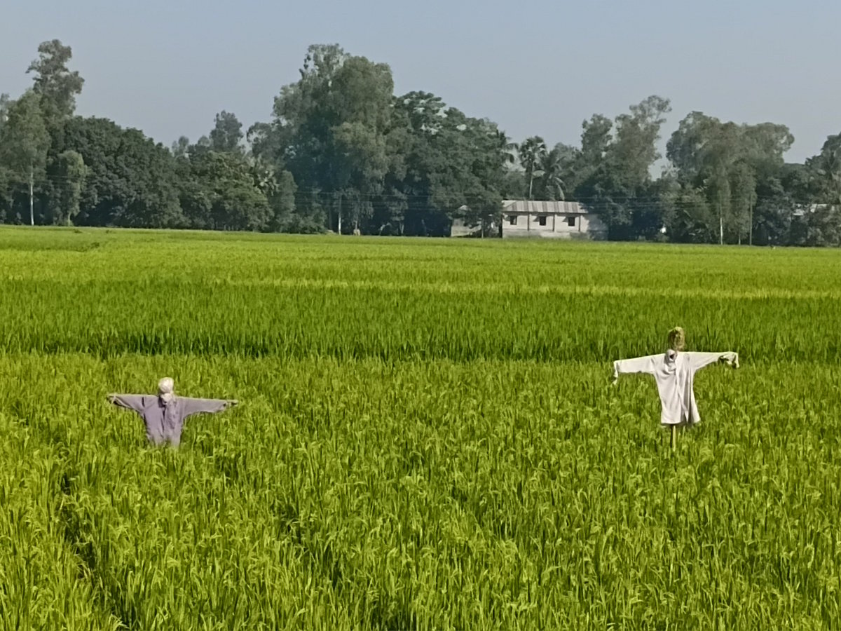 পাঠকের ছবি (২৬ অক্টোবর ২০২৬)