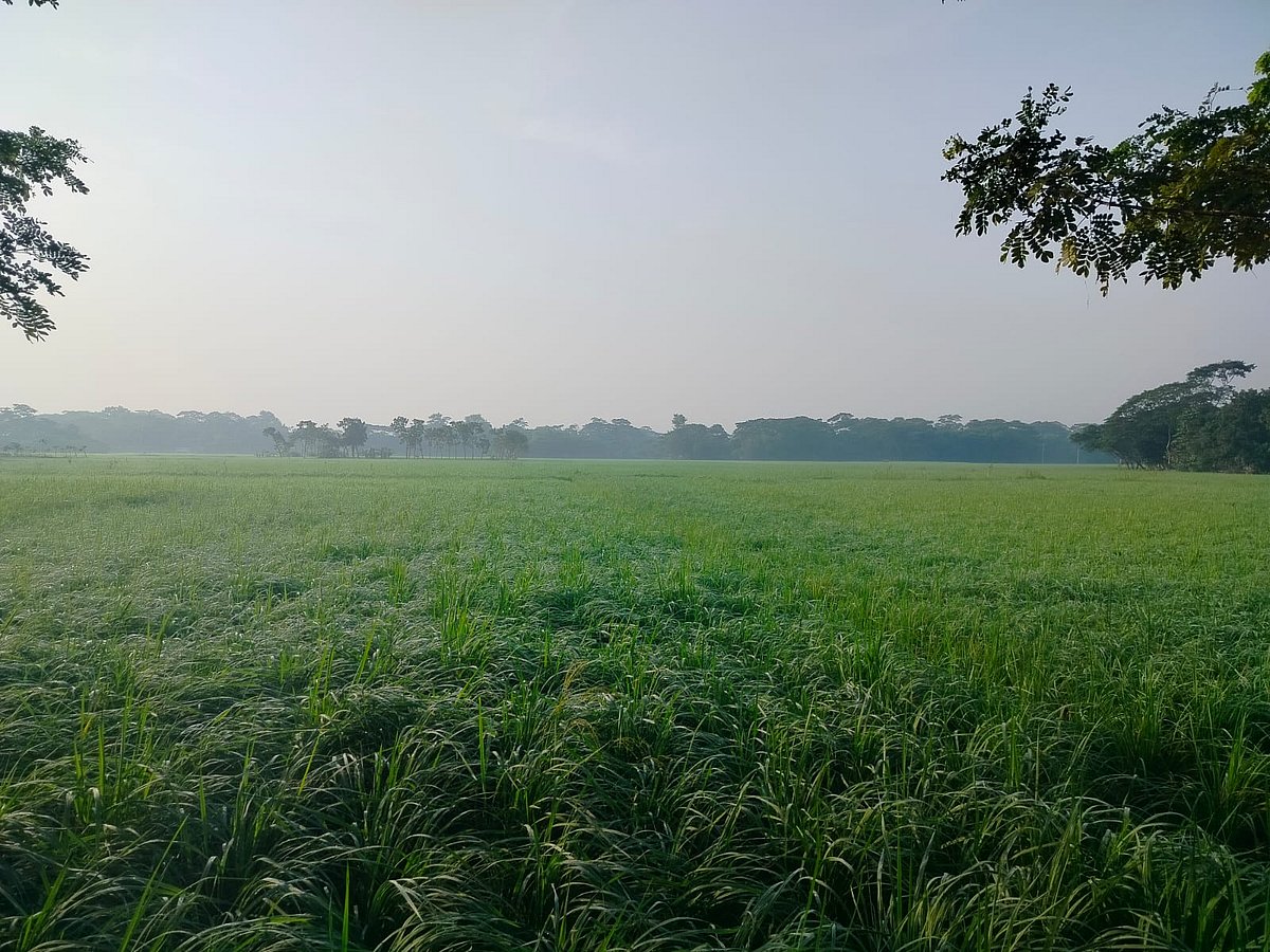 পাঠকের ছবি (২৭ অক্টোবর ২০২৬)