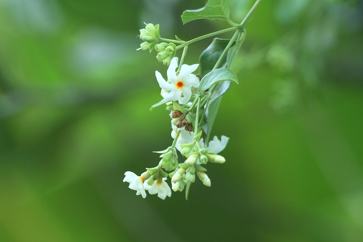 একঝলক (২৭ অক্টোবর ২০২৬)
