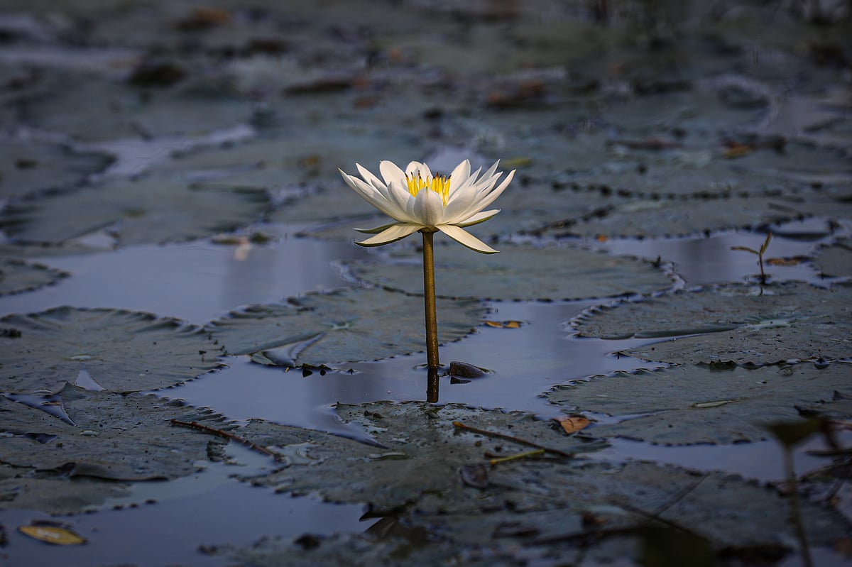 একঝলক (২৮ অক্টোবর ২০২৬)