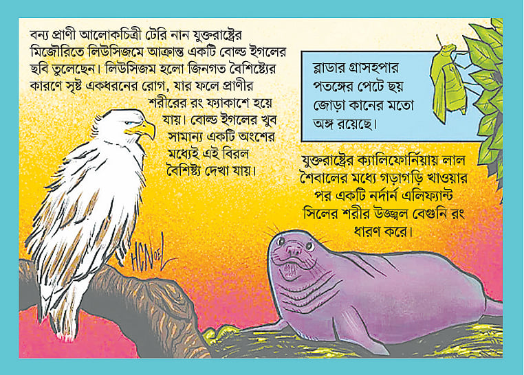 রিপলি’স বিলিভ ইট অর নট!