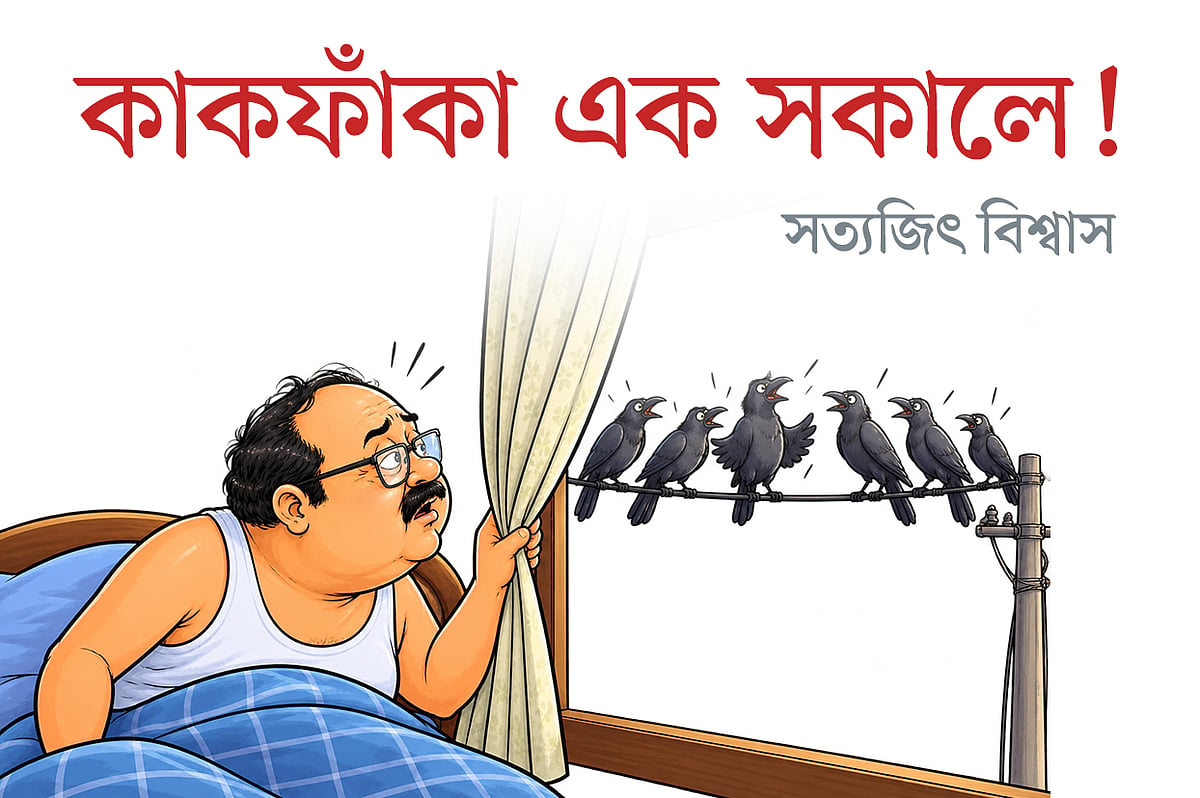 কাকফাঁকা এক সকালে!