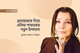ফ্লবেয়ারকে নিয়ে এলিফ শাফাকের নতুন উপন্যাস