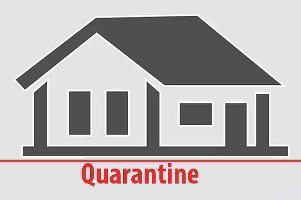 Prothom Alo illustration