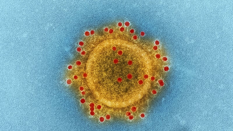 An illustration of coronavirus