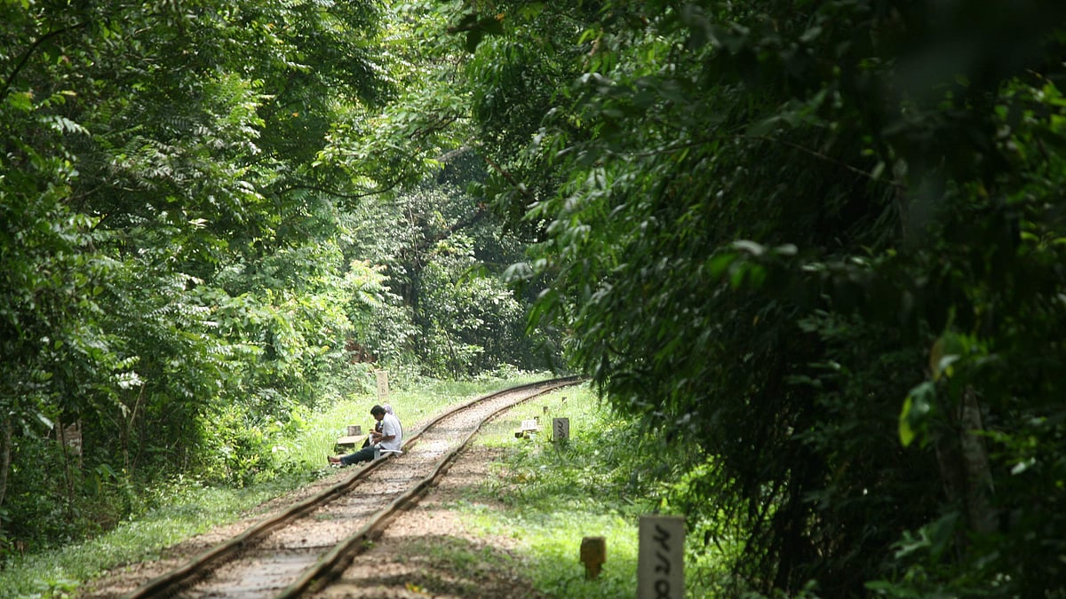 Prothom Alo file photo