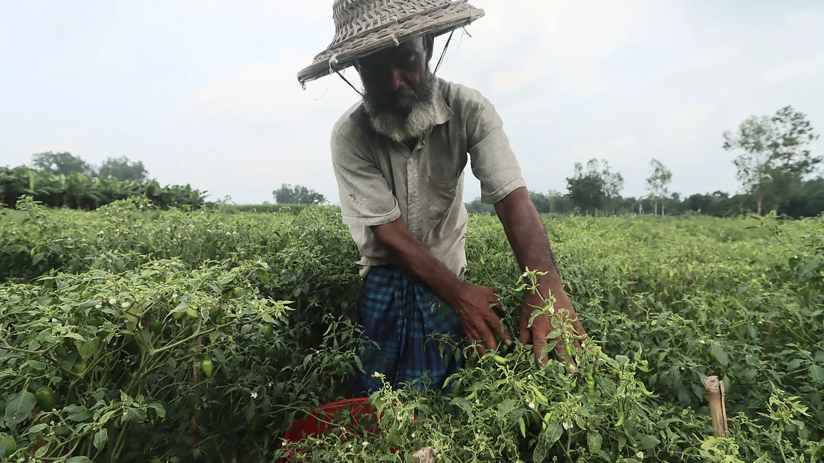 Moniul Hossain