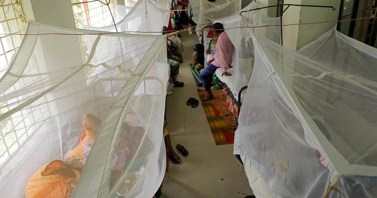Dengue deaths in September top total for first eight months - Prothom Alo English