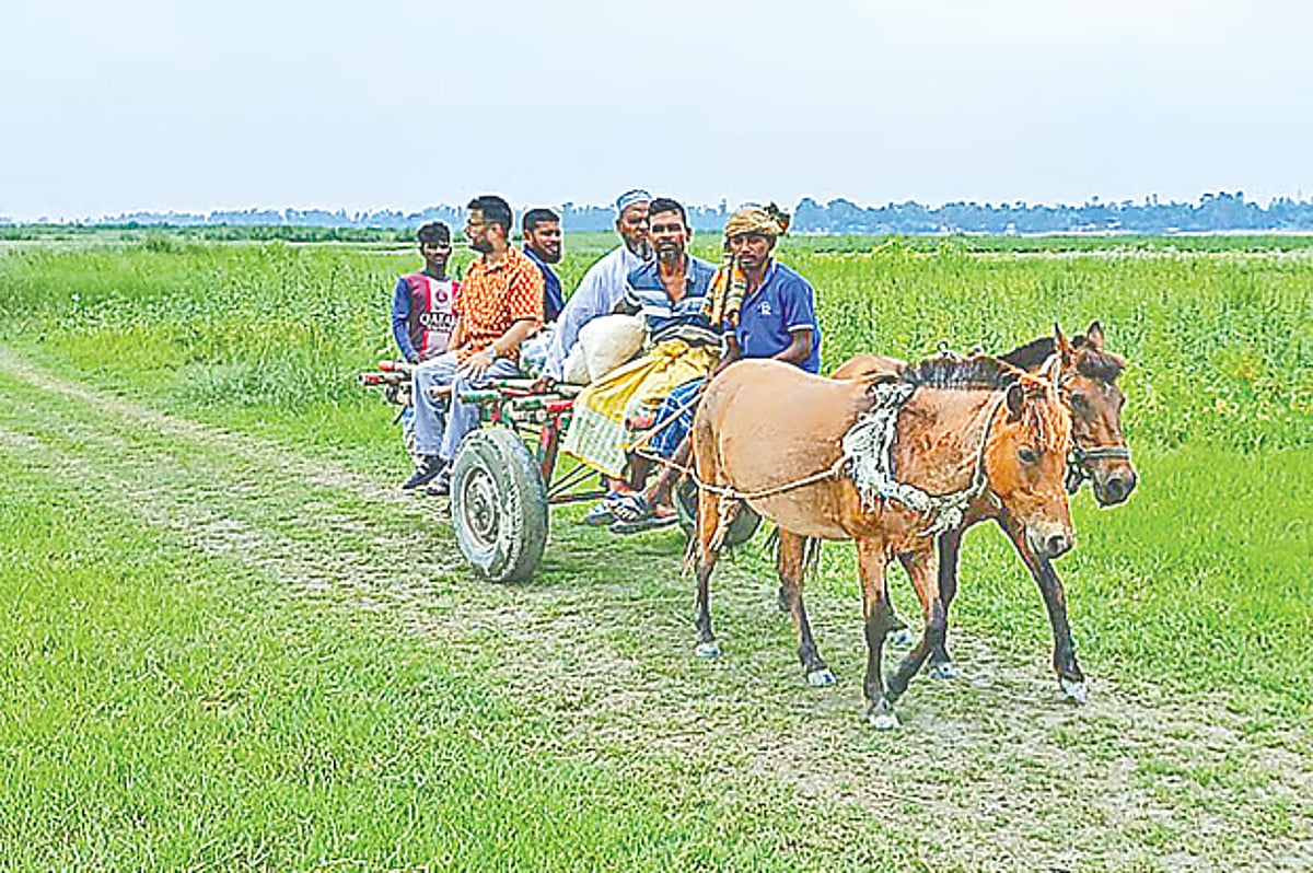 Pferdewagen beherrschen auf diesem abgelegenen Land immer noch die Straßen