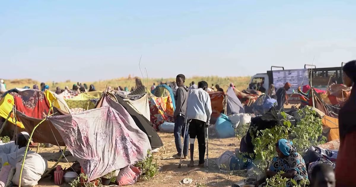 'Rounded up': survivors say Sudan's RSF detains hundreds near El-Fasher