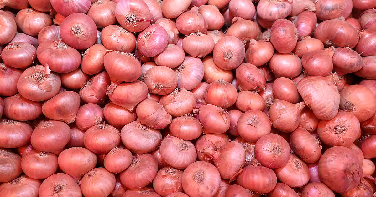 Why onion prices soar every November-December