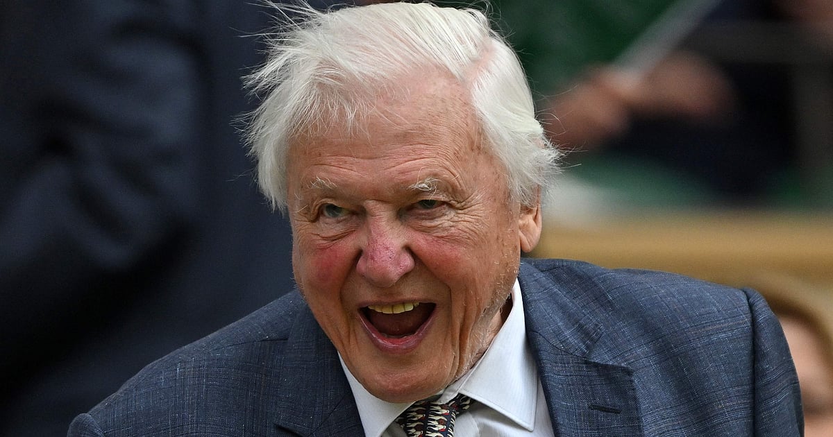 David Attenborough Celebrates 100 Years: A Life Dedicated to Nature — image 1