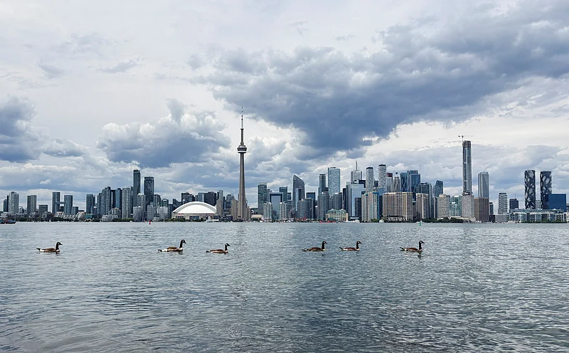 Canada geese swim in Lake Ontario near Centre Island, during the FIFA World Cup in Toronto, Canada June 24, 2026. Picture taken with a mobile phone.
