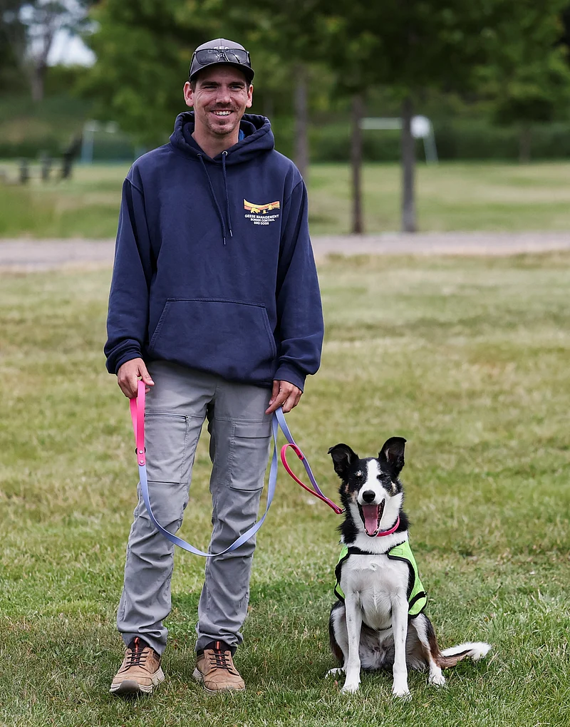 Spencer Jones of Border Control Bird Dogs, a specialized geese management company, holds Sally, 2.5years old, one of the two border collies hired to keep Canada geese off a FIFA World Cup training pitch, during a practice session at the Centennial Park in Toronto, Canada June 24, 2026. 