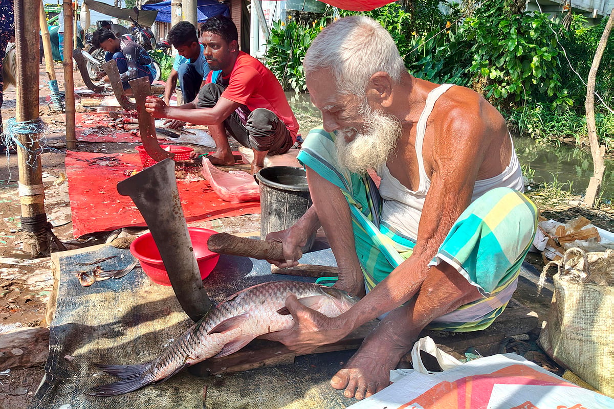 90-year-old Niamat struggle for survival - Prothom Alo English