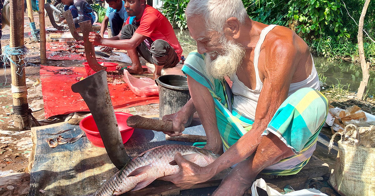 90-year-old Niamat struggle for survival - Prothom Alo English
