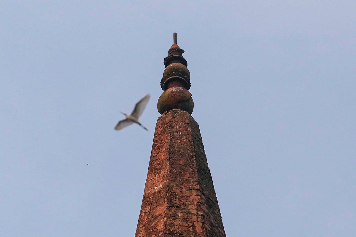 A home for birds at Arakul Math - Prothom Alo English