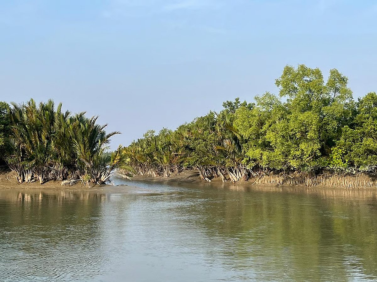 LNG terminal in the Sundarbans could increase environmental risks