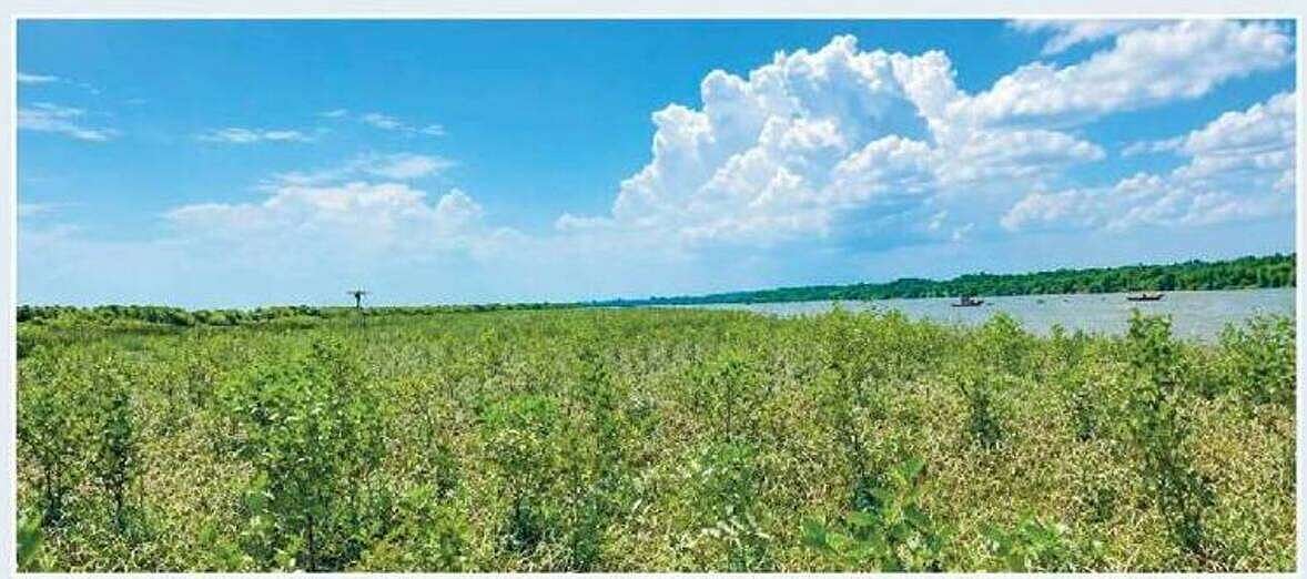 en.prothomalo.com