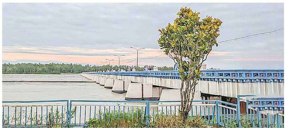 en.prothomalo.com