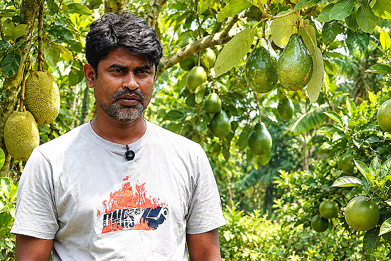 Chuadanga farmer builds 120-bigha orchard, earns Tk 20m a year - Prothom Alo English