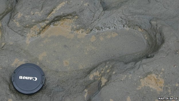 The footprints on Happisburgh beach are possibly those of a family in search of food. Photo: BBC