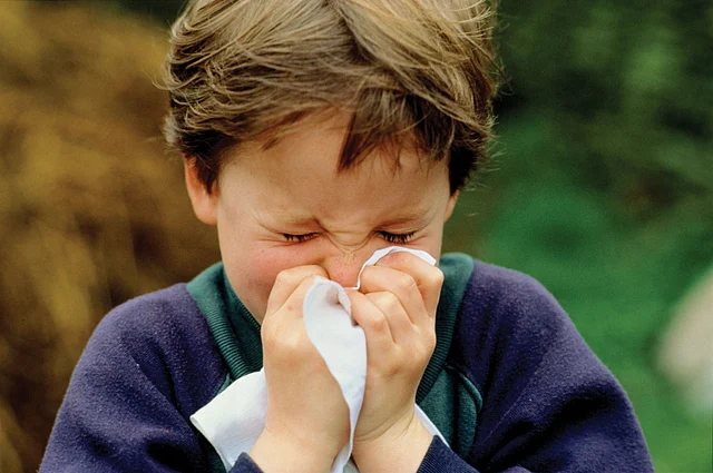 Children are especially vulnerable to such summer time viral ailments though grownups also are the sufferers. File photo