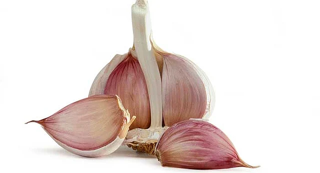 Garlic. File photo