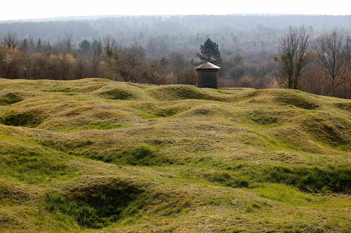 WWI shell craters are seen below the Douaumont cemetery with its Abri 320 (Rear C) a large four shelter French bunker system near Verdun, northeastern France, in this March 30, 2014 file picture. Photo: Reuters