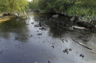 In this photograph taken on December 9, 2014, oil from a Bangladeshi oil-tanker is seen on the Shela River in the Sundarbans in Mongla. Bangladesh officials warned December 11 that an oil spill from a crashed tanker is threatening endangered dolphins and other wildlife in the massive Sundarbans mangrove region, branding the leak an ecological 'catastrophe'. The tanker carrying an estimated 357,000 litres (77,000 gallons) of oil collided on December 9 with another vessel and partly sank in the Sundarbans' Shela river, home to rare Irrawaddy and Ganges dolphins. AFP PHOTO