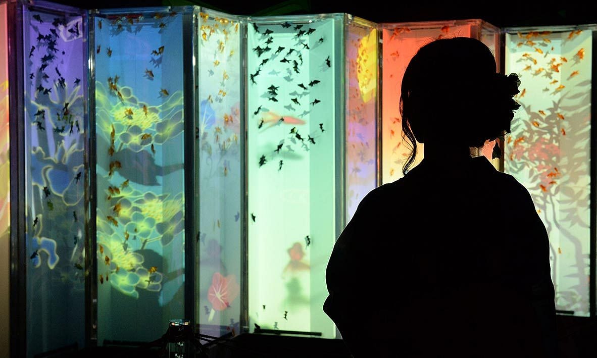 Aquariums can lower BP. Photo: AFP