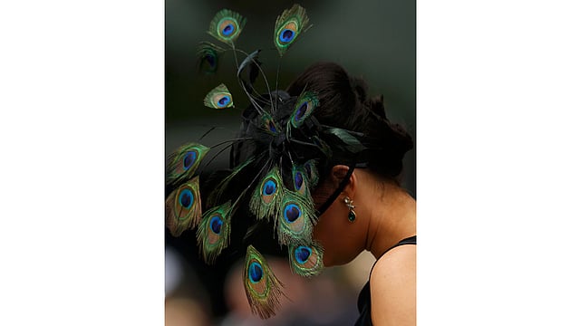 Ladies Day Racegoer wears hat. Photo: Reuters