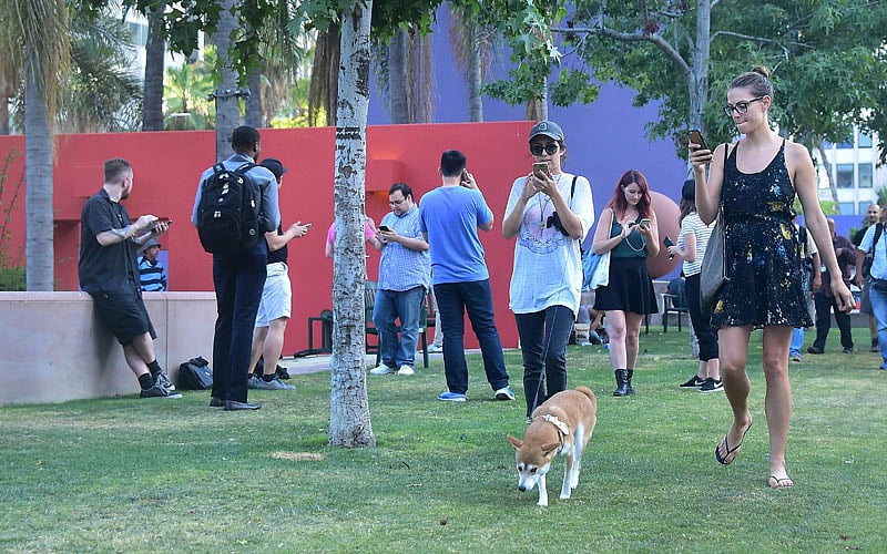 Residents look at their phones while playing Pokemon Go on Wednesday at Pershing Square in Los Angeles, California. The location-based augmented reality mobile game was released on July 6th. Photo : AFP