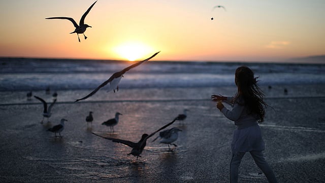 A girl throws bread crumbs into the Pacific Ocean during the Tashlich prayer, a Rosh Hashanah ritual to symbolically cast away sins, during the Nashuva Spiritual Community Jewish New Year celebration on Venice Beach in Los Angeles, California. Photo: Reuters