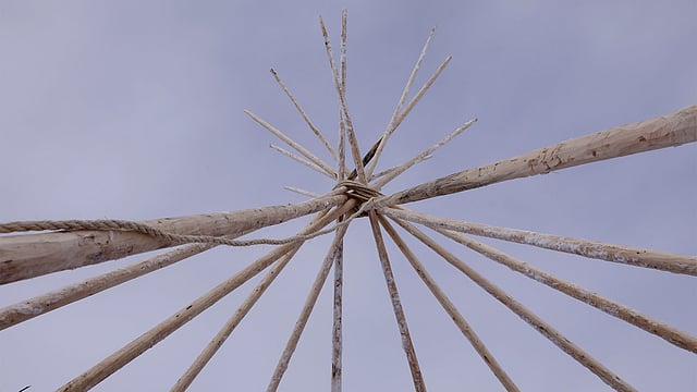 Tipi poles erected by members of the Oglala Lakota tribe stands inside of the Oceti Sakowin camp as `water protectors` continue to demonstrate against plans to pass the Dakota Access pipeline near the Standing Rock Indian Reservation, near Cannon Ball, North Dakota, U.S., December 2, 2016. Photo: Reuters