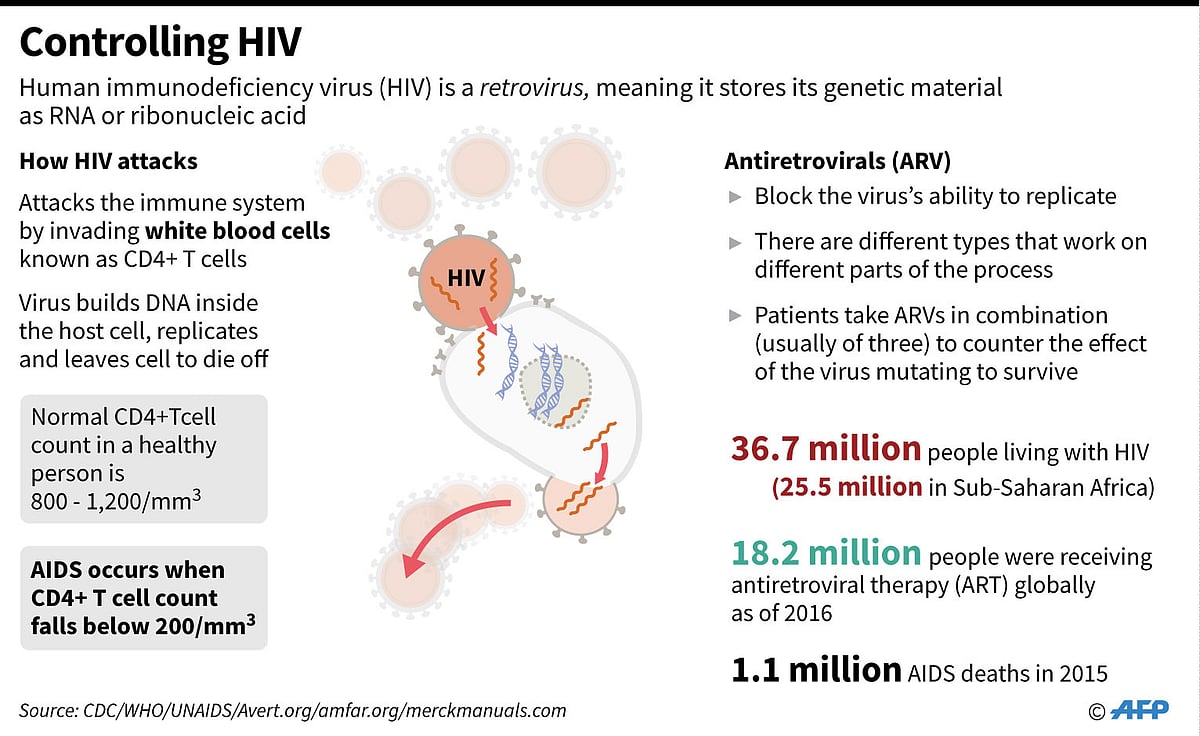 Graphic on how HIV attacks immune cells, and how the condition is treated with antiretrovirals. AFP