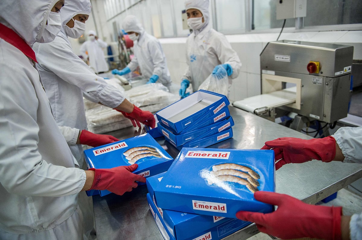 Vietnamese workers box frozen shrimp at the Khanh Sung Seafood Company in the My Xuyen district in southern Vietnam. AFP file photo