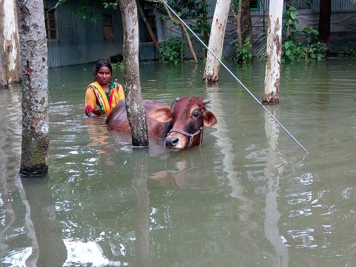 The flood situation in Sirajganj has worsened. Photo: Prothom Alo