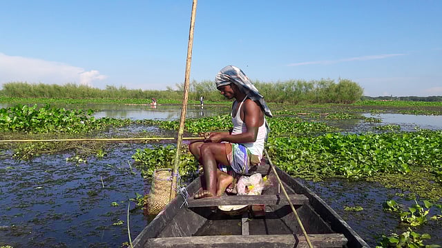 A man fishes in the Bhaskarkhila Bil of Kishoreganj district on Saturday. Photo: Tafsilul Aziz