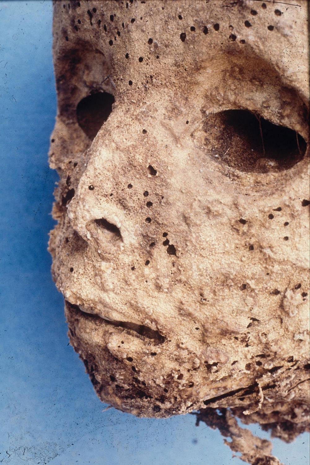The mummified remains of a small child buried in the Basilica of Saint Domenico Maggiore in Naples, Italy. Photo: IANS