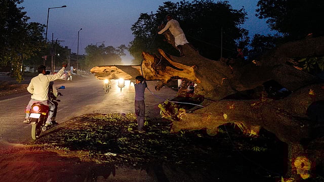 An Indian man chops a tree which fell onto a road during a storm in Agra on 3 May, 2018. Photo: AFP