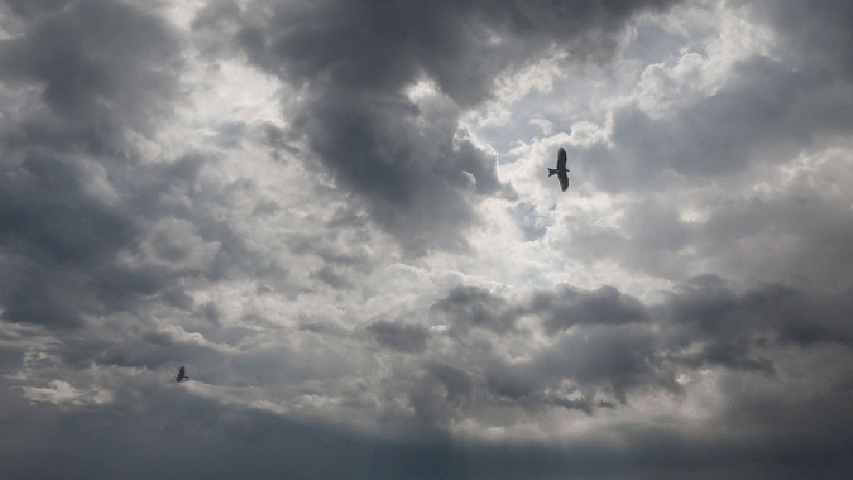 Clouds, birds and a purer perception of life - Prothom Alo English