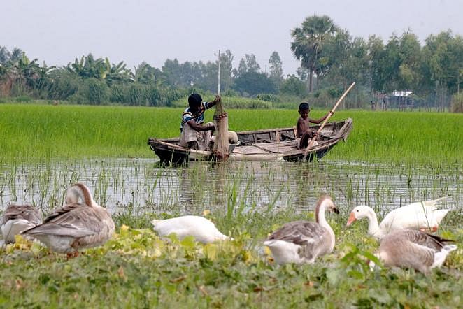 A man and a boy fishing in the swamps of Khagarbaria, Faridpur, Pabna. A recent photo by Hasan Mahmud