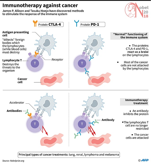 The Nobel Prize laureates for physics 2018 Arthur Ashkin of the United States, Gerard Mourou of France and Donna Strickland of Canada are announced at the Royal Swedish Academy of Sciences in Stockholm, Sweden, 2 October 2018. Photo: Reuters
