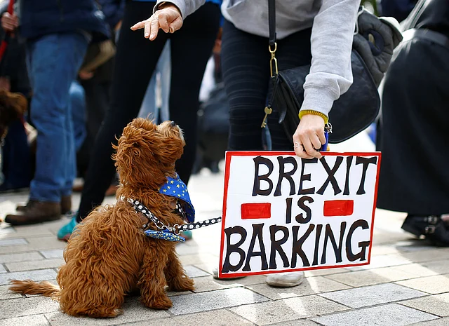 Anti-Brexit protesters and their dogs join a march called `Wooferendum`, in London, Britain on 7 October 2018. Photo: Reuters