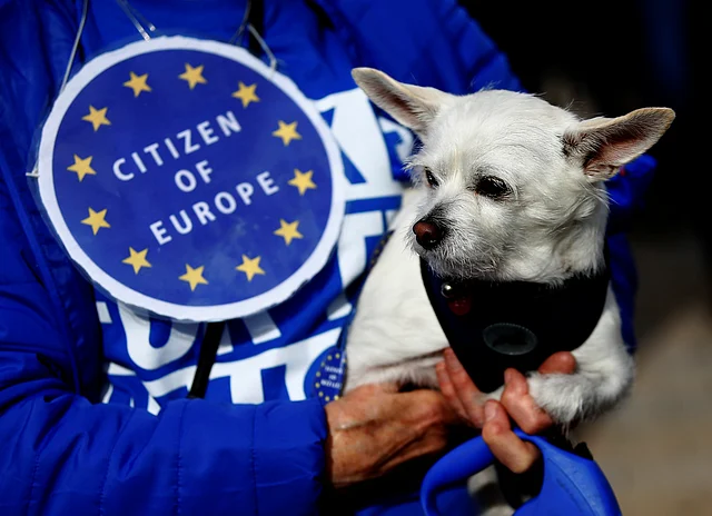 Anti-Brexit protesters and their dogs join a march called `Wooferendum`, in London, Britain on 7 October 2018. Photo: Reuters