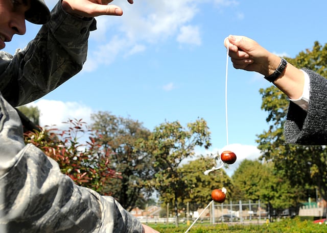 Horse chestnut seeds