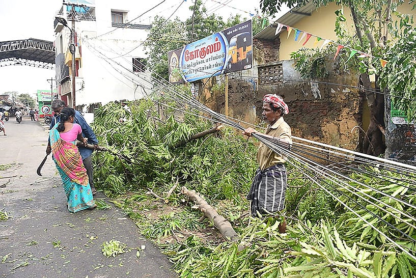 Powerful winds felled trees, destroyed homes and forced thousands to flee to safety as Cyclone Gaja barrelled into India`s eastern coast 16 November. Photo: AFP